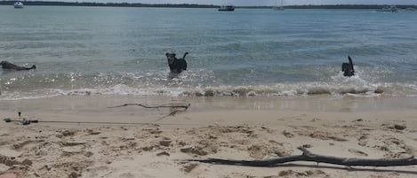 Una playa cerca