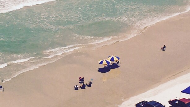 A beach scene with a large bird flying over the water, a sandy shore, and a few beach umbrellas. - DAYTONA GETAWAY OCEAN FRONT CONDO (Daytona Beach)