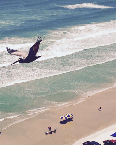 DAYTONA GETAWAY OCEAN FRONT CONDO