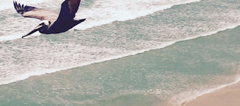 DAYTONA GETAWAY OCEAN FRONT CONDO