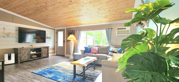 Smart-TV, Videospiele, DVD-Player, Bücher