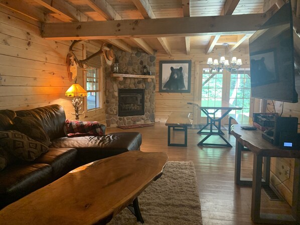 TV, fireplace, ping pong