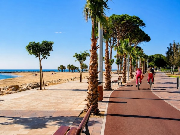 A paved walkway with palm trees, benches, and a beach in the background.