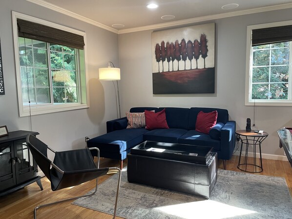 Smart TV, chimenea y libros 