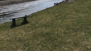Een rivier met een bankje aan de groene oever, omringd door bomen en heuvels.
