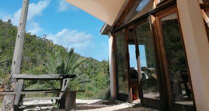 The Farm, Maria Serrao Aljezur