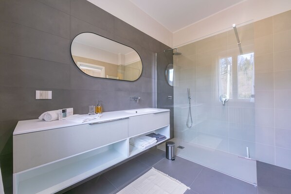 Bathtub, hair dryer, bidet, towels