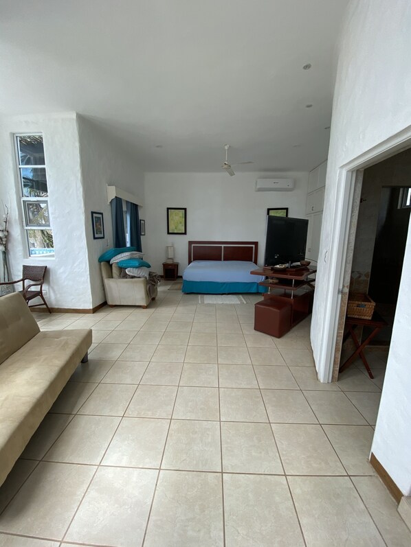 A spacious living area with a large bed, a sofa, a television, and a ceiling fan.