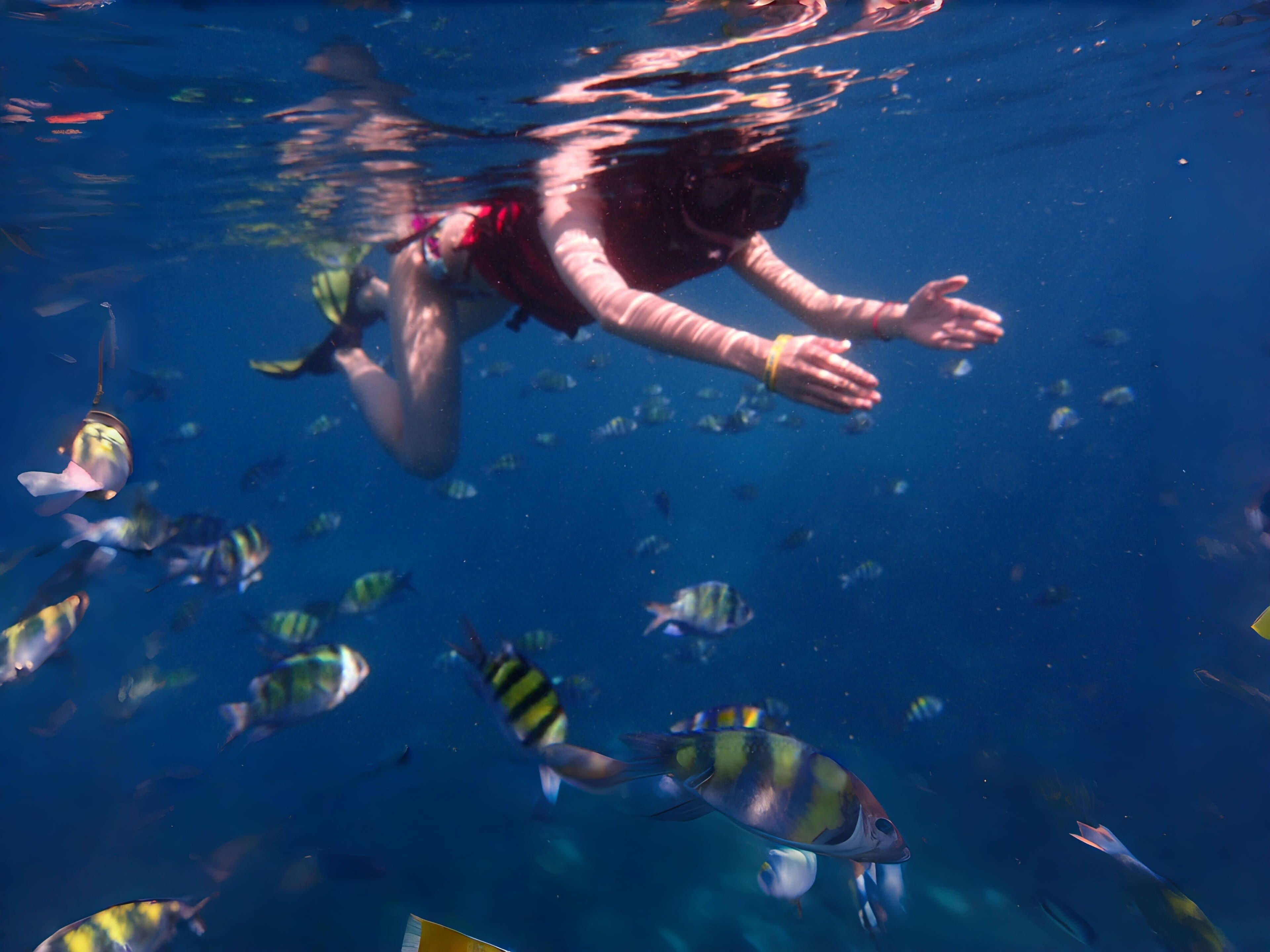 Una persona nadando bajo el agua con peces.