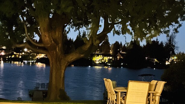 Un espace de restauration au bord du lac, avec une table et des chaises sous un grand arbre, offrant une vue sur une étendue d’eau et des bâtiments en arrière-plan.