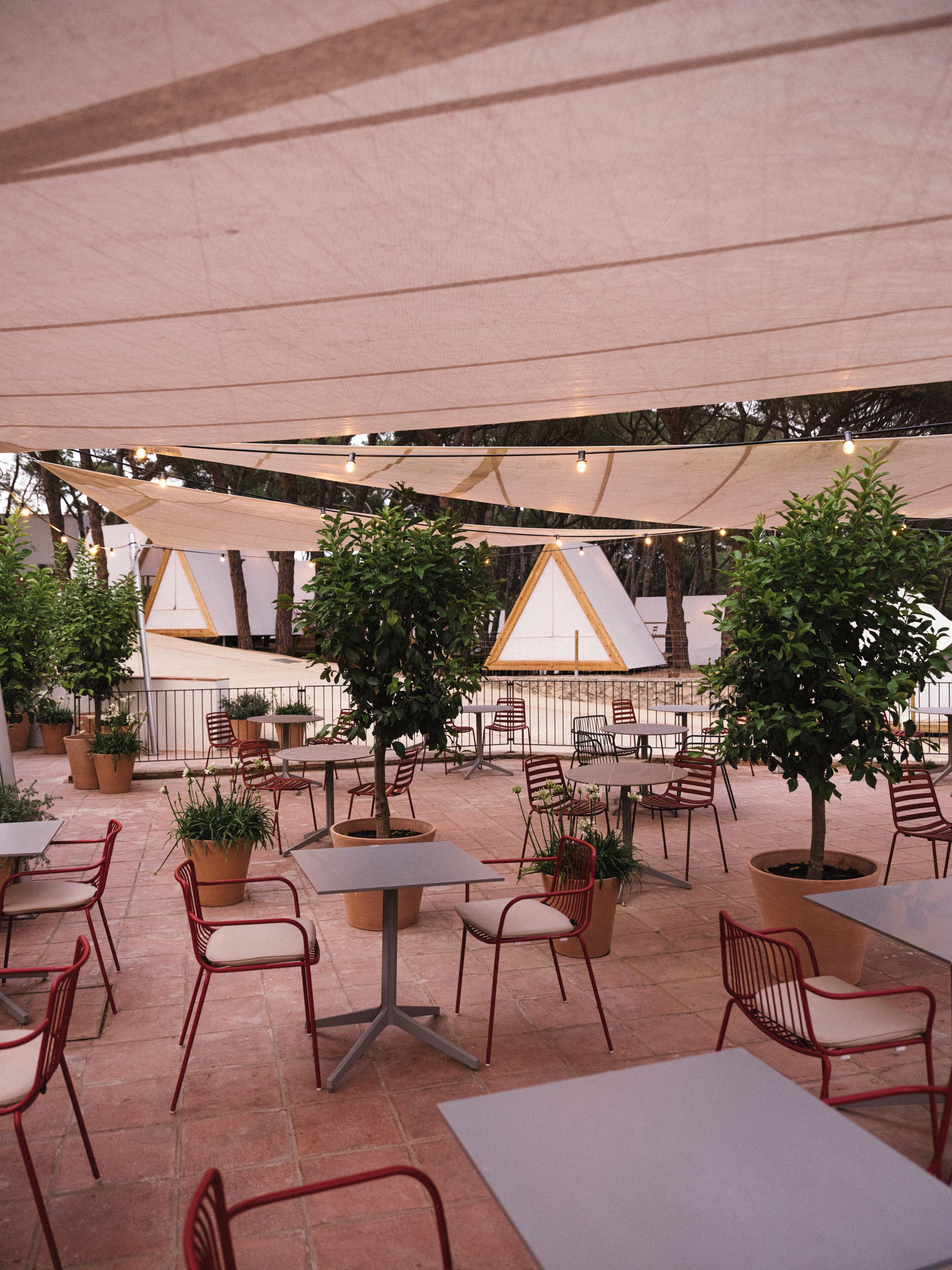 An outdoor patio area with tables and chairs, surrounded by potted plants and trees.