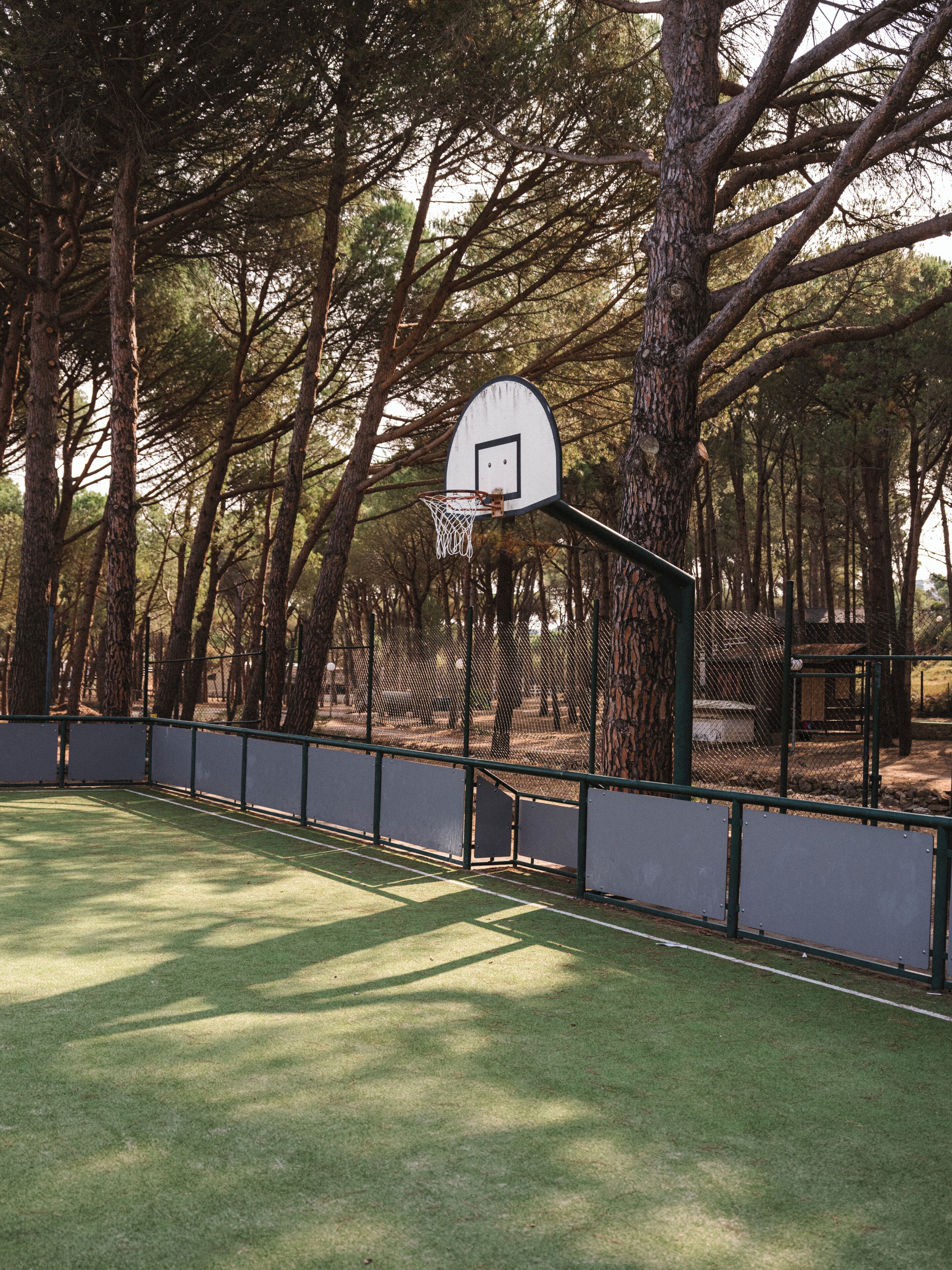 Ein Basketballplatz mit Korb, umgeben von Bäumen.