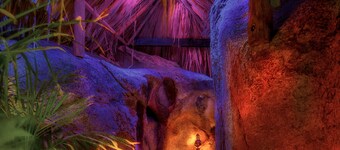 Unique villa, 2 Pools, Cinema, Yoga, Cave, Beach Volley, Ping Pong, Gym