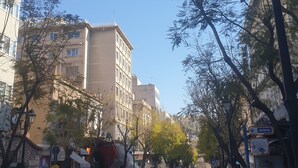 Une rue bordée d’arbres et d’immeubles, un ciel dégagé et quelques piétons.