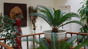 Un espacio interior amplio con una escalera de madera, plantas en macetas y un gran jarrón decorativo.