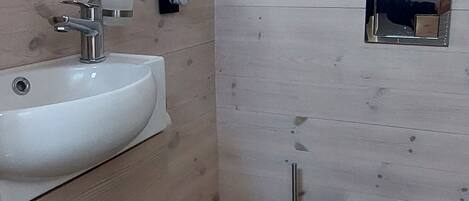 A bathroom with a sink, toilet, and hairdryer.