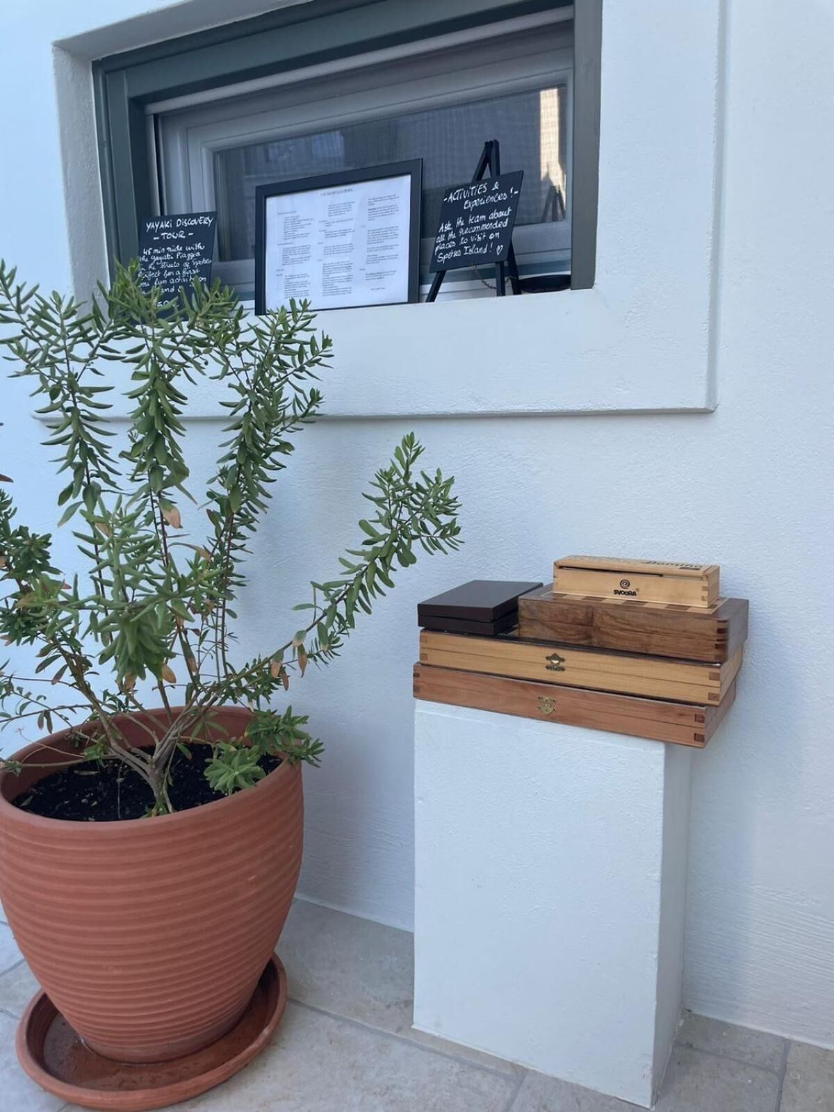 Une plante en pot, placée à côté d’une vitrine en bois surmontée d’une fenêtre.