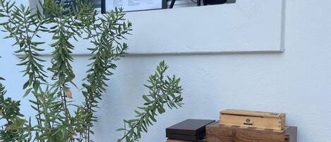 Une plante en pot, placée à côté d’une vitrine en bois surmontée d’une fenêtre.