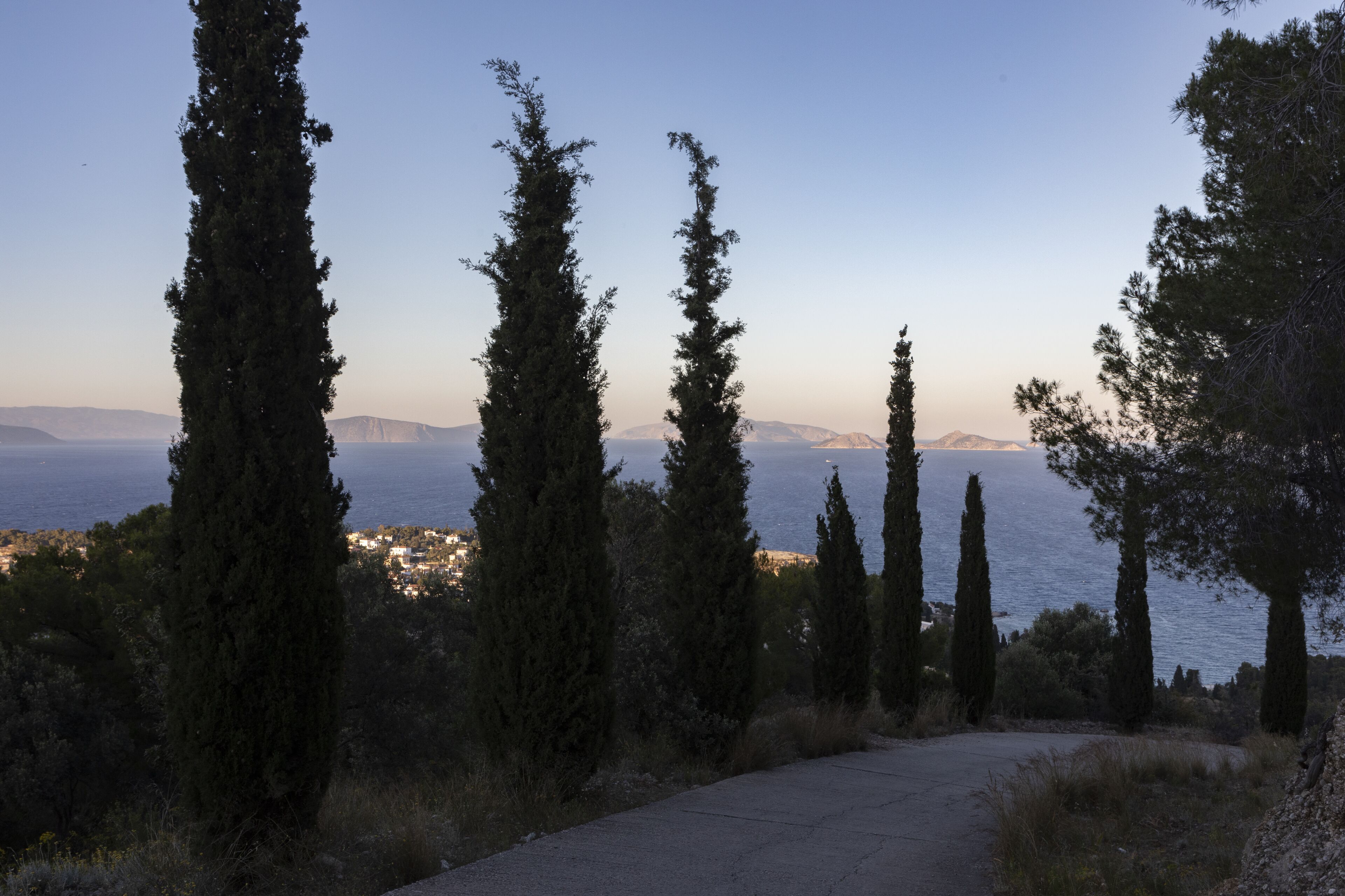 A paved path flanked by tall cypress trees leading to a coastal view with distant mountains.