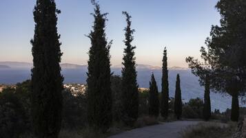 A paved path flanked by tall cypress trees leading to a coastal view with distant mountains.