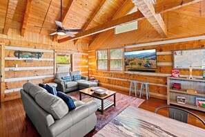 TV, fireplace, DVD player, books