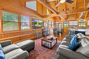 TV, fireplace, DVD player, books - Serene Douglas Lake Cabin w Private Dock + VIEWS! (Sevierville)