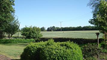 House | Property grounds