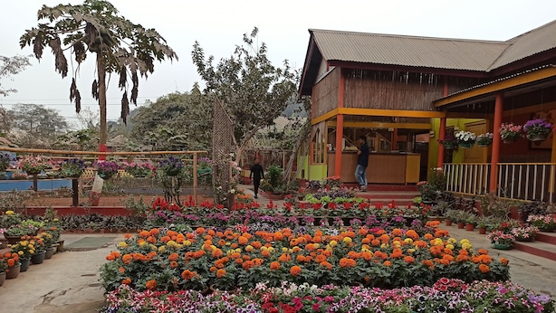 Un jardín con diversas flores y un edificio con porche.