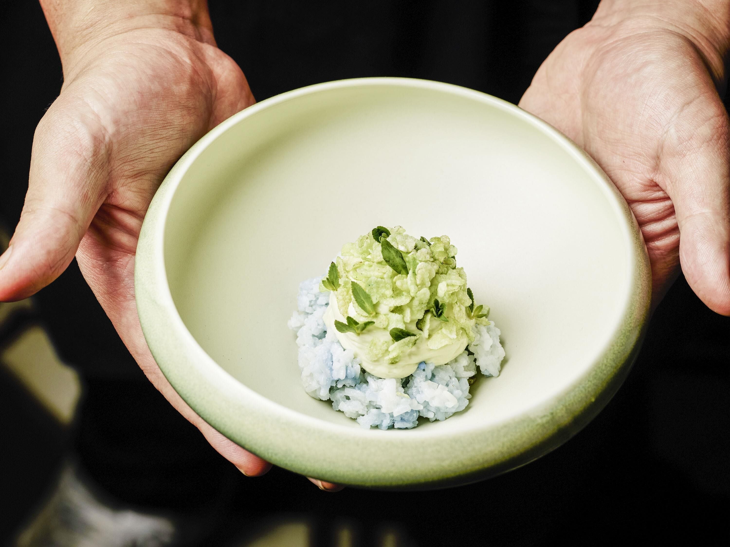 A person holding a bowl with a light-colored interior and a white substance on top, possibly food.