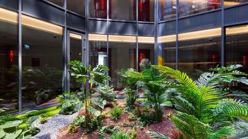 Garden view