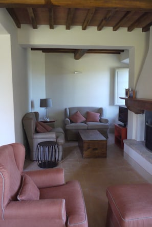 Fernseher, Kamin, DVD-Player, Bücher