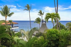 A coastal property with a view of the ocean, palm trees, and a building with a red roof.