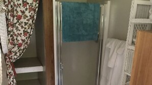Un baño con ducha de vidrio, inodoro y un pequeño estante con toallas.