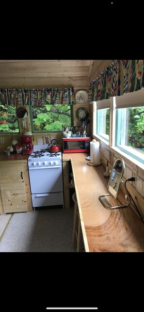 Fridge, microwave, oven, stovetop - Homestead cabin (Homer)