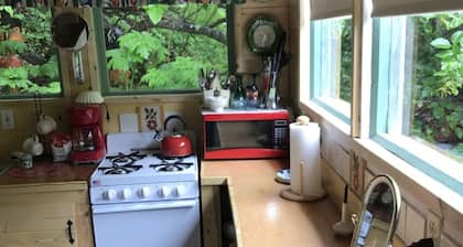 Homestead cabin