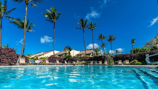 A swimming pool with clear blue water, surrounded by palm trees and lounge chairs.