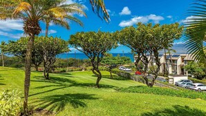 A lush green landscape with palm trees and a view of the ocean.