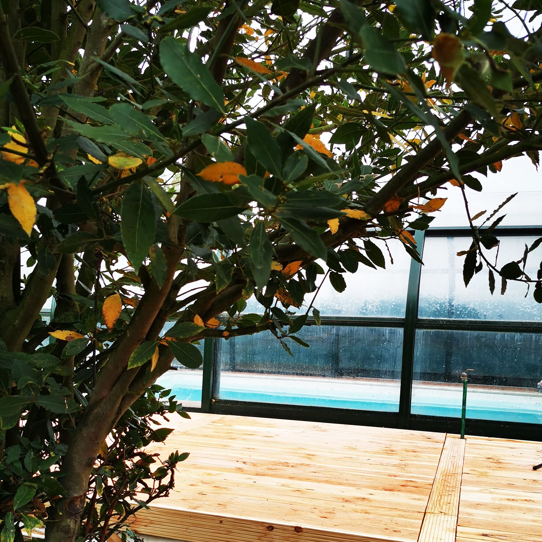 Indoor pool, seasonal outdoor pool