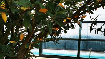 Una piscina cubierta, una piscina al aire libre de temporada