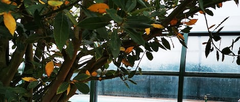 Piscine couverte, piscine extérieure (ouverte en saison)