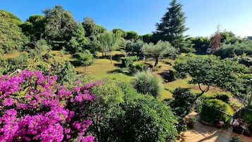 Apartamento, 2 quartos, sacada | Terraço/pátio