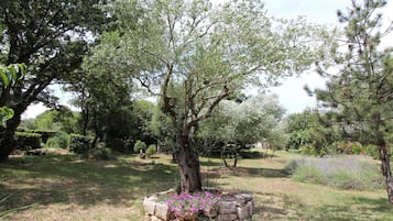Jardín