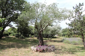 Jardín