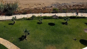 A beach view with a grassy area in the foreground, a fence, and a person walking. - Casares Del Mar (Casares)