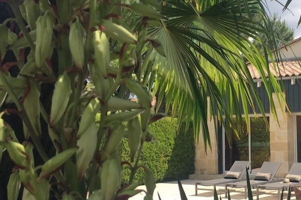Villa de Charme au cœur d'un écrin de verdure Piscine Spa Sauna privatifs