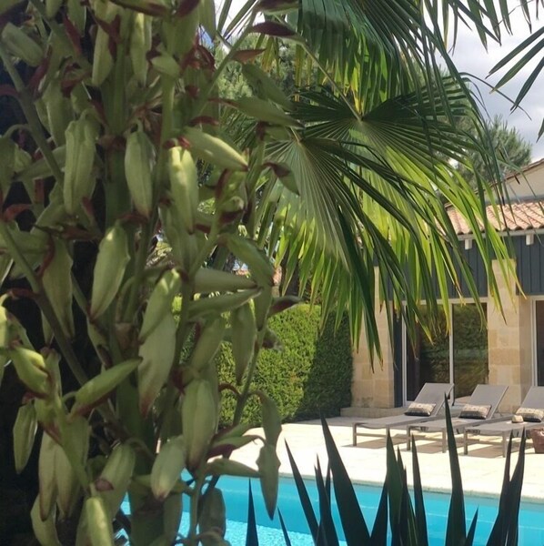 Piscine extérieure, piscine chauffée