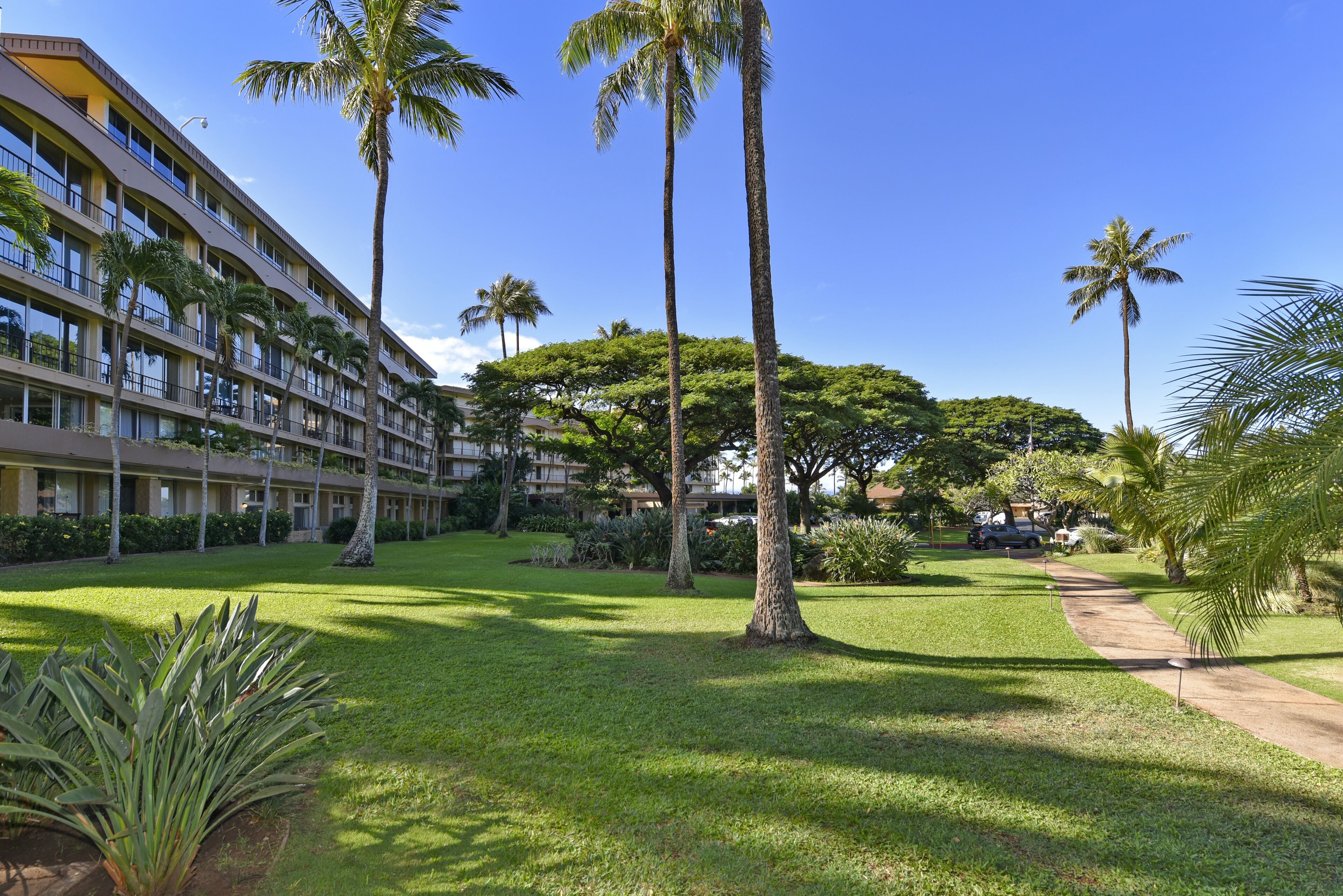 開放式客房 | 住宿一隅