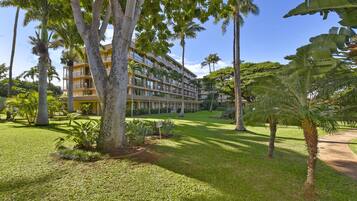 Studio | Property grounds