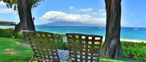 Studio | Property grounds