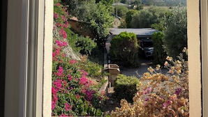 Vistall a través d'una finestra cap a un jardí amb un cotxe a la part posterior, envoltat de verdura i flors.